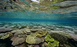 エコ清掃のご案内